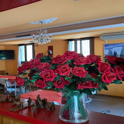 Taj Mahal Ristorante Pizzeria Indiano Pakistano, Reggio Emilia
