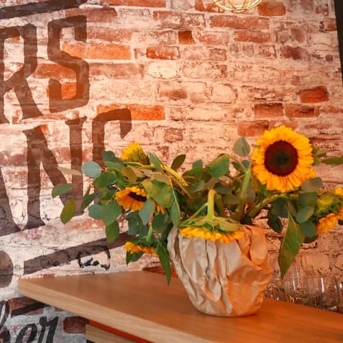 L'ours Blanc, Strasbourg