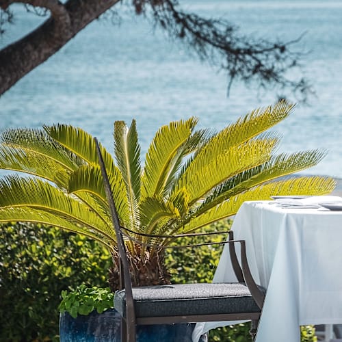  Le Bougainvillier, Restaurant Bistronomique de l’Hôtel***** la Villa Mauresque, Saint-Raphaël
