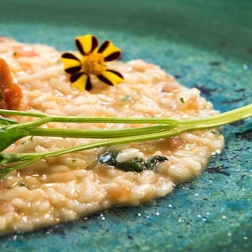 Papaveri e Mare, San Vincenzo