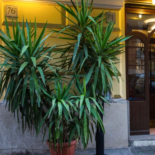 Ristorante Lin, Roma