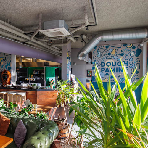 Doughpamine, Leeuwarden