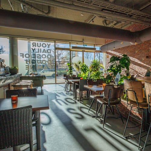 Doughpamine, Leeuwarden