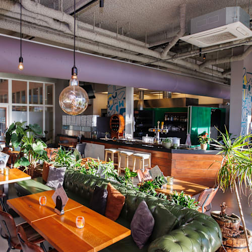 Doughpamine, Leeuwarden