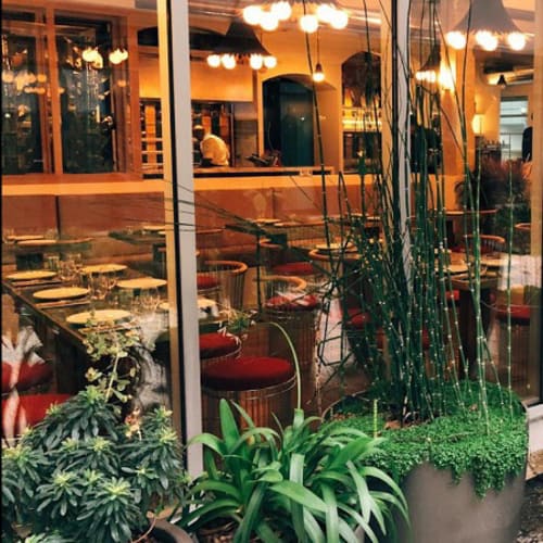 Laïa Voltaire, Paris