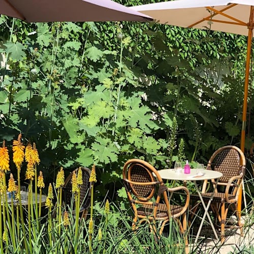 Laïa Voltaire, Paris