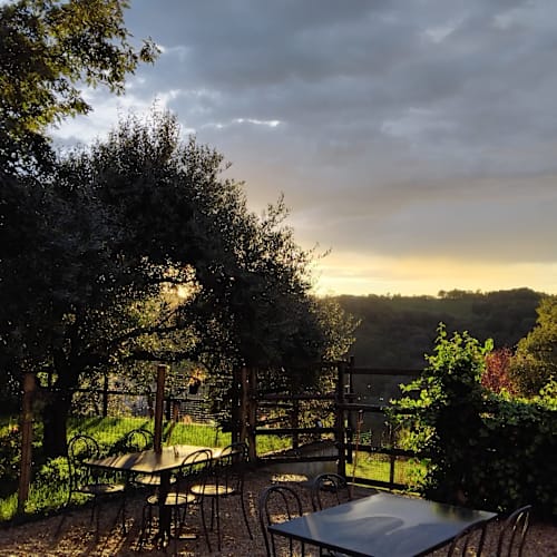 Agripizzeria L'Abbraccio Del Bosco, Cavagnolo