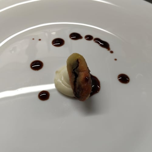 Domo Mea, Vado Ligure