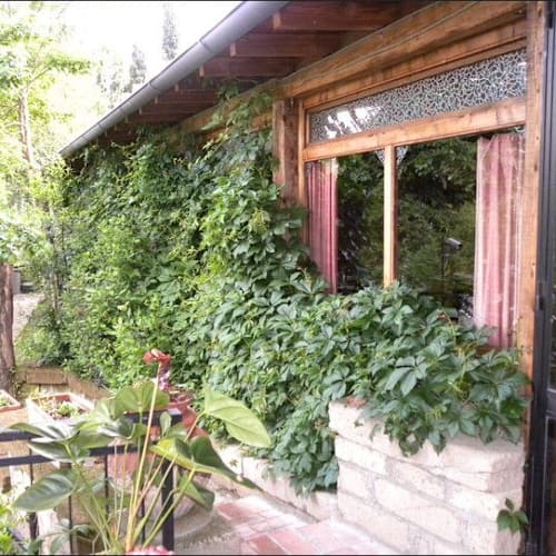 Trattoria del Contadino, Cetona