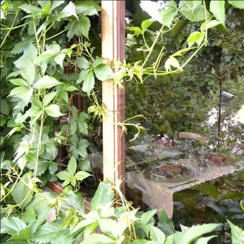 Trattoria del Contadino, Cetona