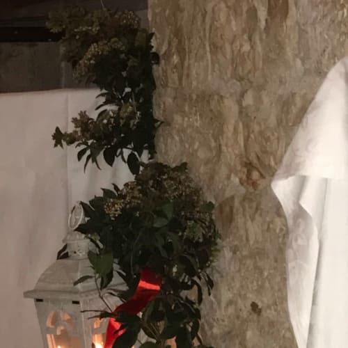 Il Vicolo, Carovigno