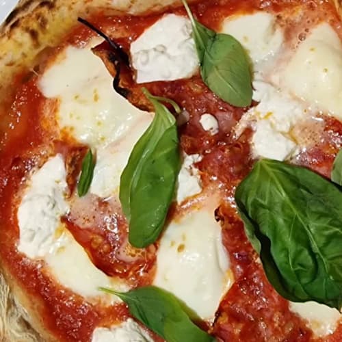 Il Mascalzone, Renazzo