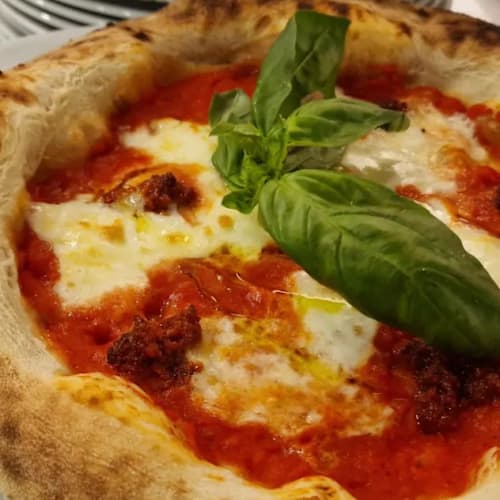Il Mascalzone, Renazzo
