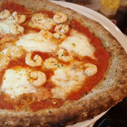 Il Mascalzone, Renazzo