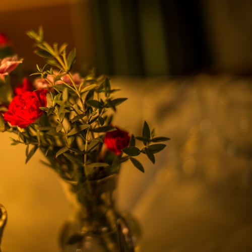 Le Connétable, Paris