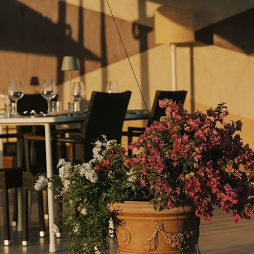 Ristoenoteca Imperiale Bolgheri, Bolgheri