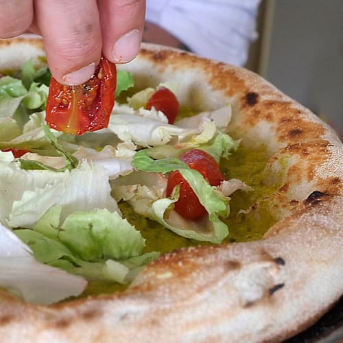 Disapore+, Cecina