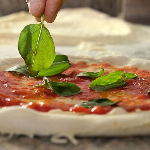 Disapore+, Cecina