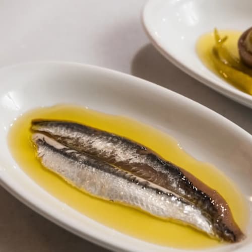Colmado Wilmot, Barcelona