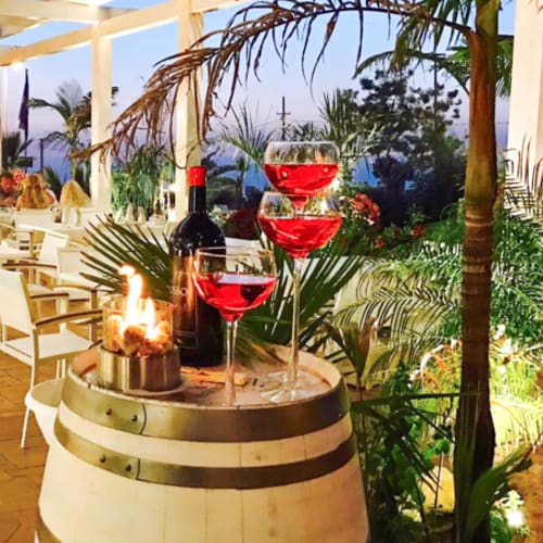 Live Fusion Restaurant, Ricadi