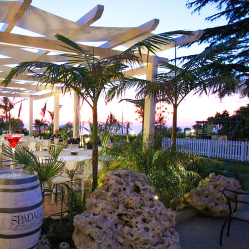 Live Fusion Restaurant, Ricadi