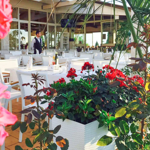 Live Fusion Restaurant, Ricadi