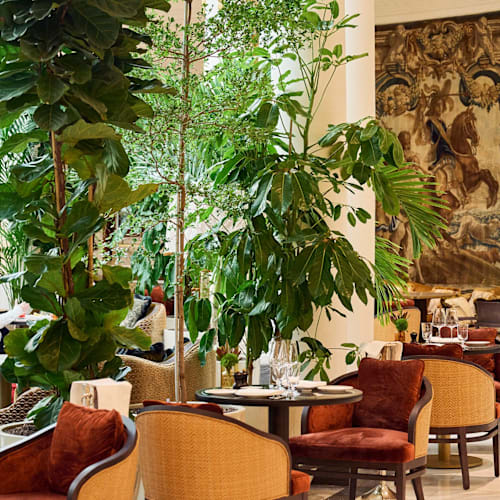 La Cúpula Restaurant & Bar, Madrid