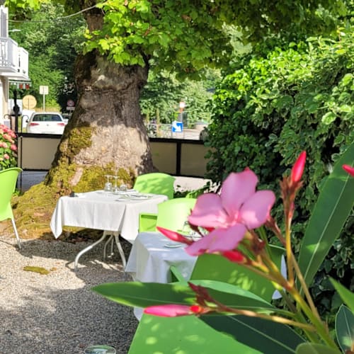 Les Oliviers, Brison-Saint-Innocent
