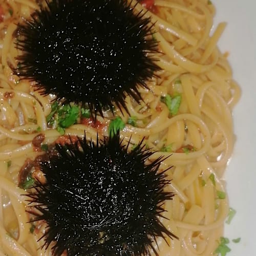 Taverna Montalbano, Trieste