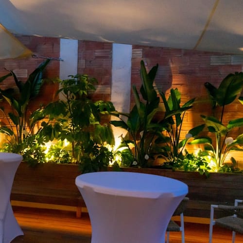 Puka Pukara - Nikkei Kitchen & Cocktails, Barcelona