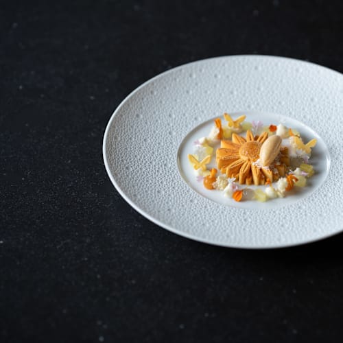 Novo new dining, Maastricht