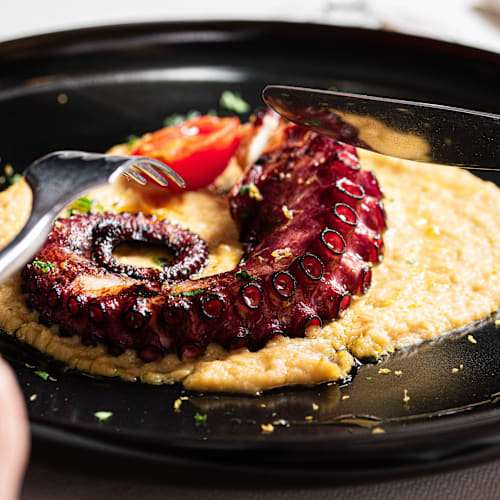 La corte dell' ulivo di Phi hotel Emilia, Ozzano dell'Emilia