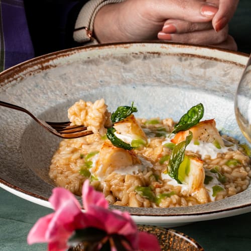 Kurtisia, Santa Venerina