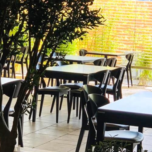 Frango da Villa, Batalha