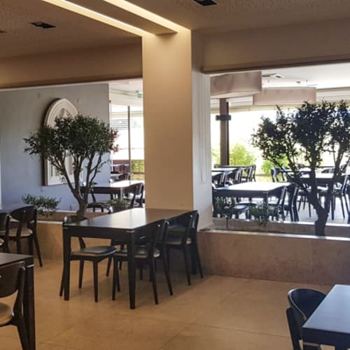 Frango da Villa, Batalha