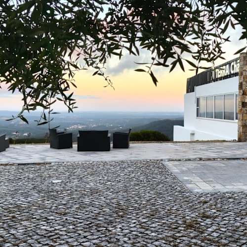 Terra Chã Restaurante Panorâmico, Alcobertas