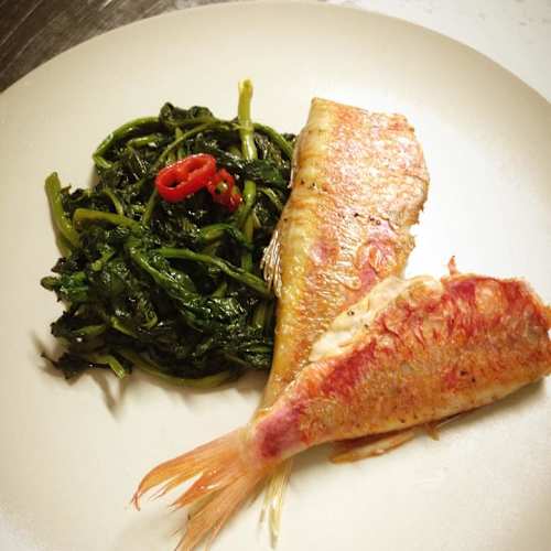 Parallelo 41, Vignone