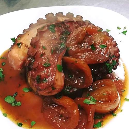 Parallelo 41, Vignone