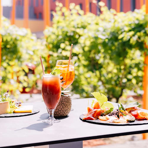 La Vie en Rose - Hôtel Radisson Blu, Blagnac