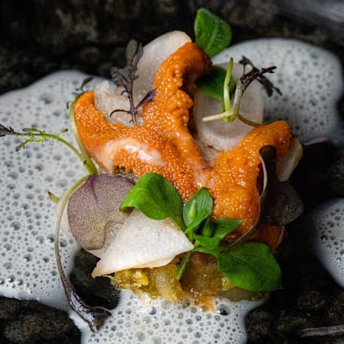 ASTRAL RESTAURANT, Lyon