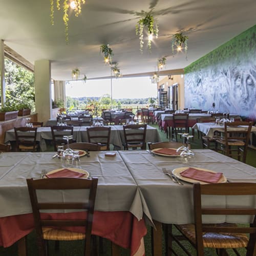 Rossomattone, Roma