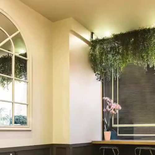 Masa Divina, Badalona