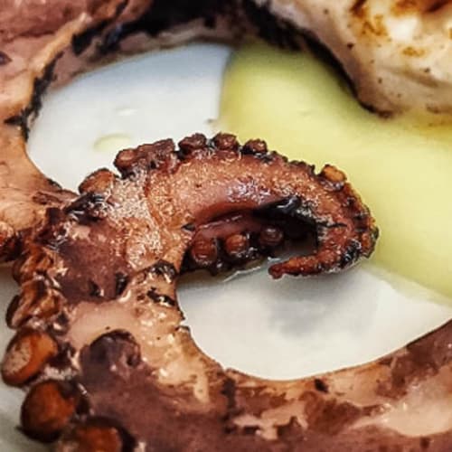 MAGIC - Il Ristorante del Magic Hotel, Serrone