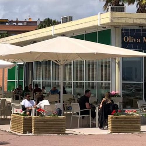 Oliva Mediterranea, Cubelles