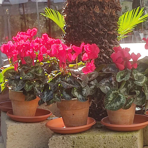 La Casina Nel Parco, Cantalupo In Sabina