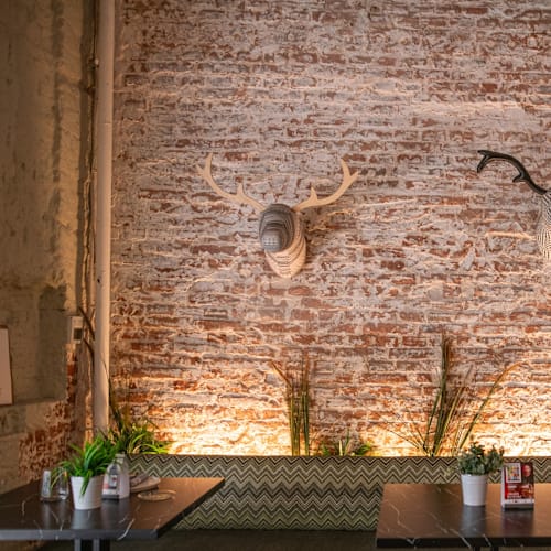 El Lince, Madrid