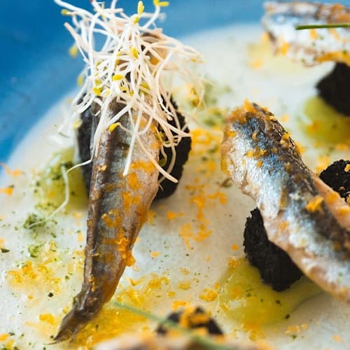 Boccanegra, Celle Ligure