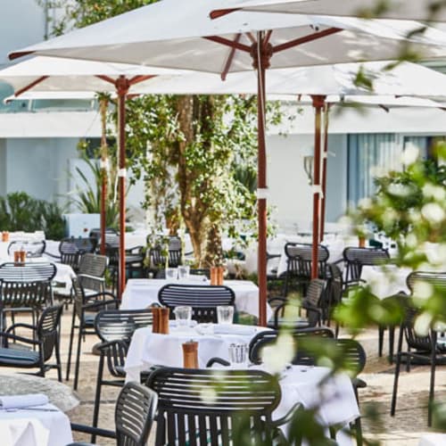 Le Sud, Cannes