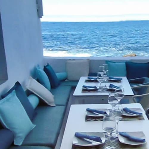 Marlin, Puerto De La Cruz