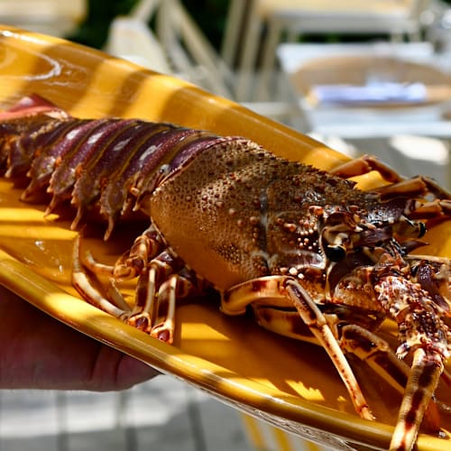 Bar du soleil, Hyères